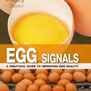 Cover image for Ebook Egg Signals (English edition) A practical guide to improving egg quality