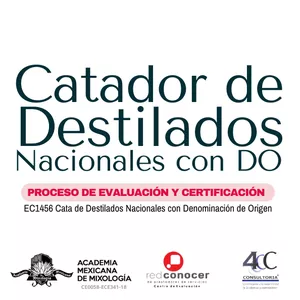 Imagen de portada para Curso online Evaluación Oficial EC1456 – Certificación Catador de Destilados Mexicanos con DO