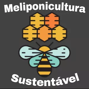 Imagem de capa para o Curso online Meliponicultura Sustentável