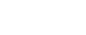 Metelos Academy logo