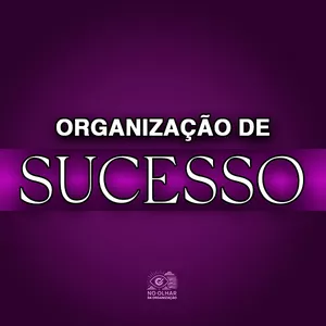 Imagem de capa para o Curso online Organização de Sucesso