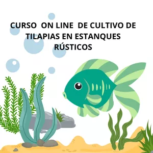 Imagen de portada para Curso online CURSO  ON LINE  DE CULTIVO DE  TILAPIAS EN ESTANQUES RÚSTICOS