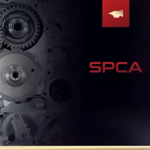 Imagem de capa para o Curso online Especialização - SPCA