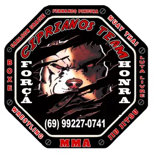 Imagem de capa para o Curso online Como inserir o wrestling no Jiu Jitsu