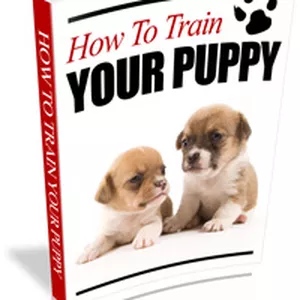 Imagem de capa para o Ebook como treinar seu cachorro