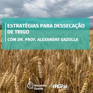 Imagem do curso Estratégias para Dessecação de Trigo