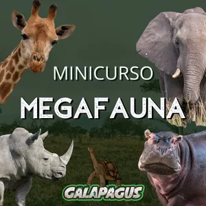Imagem de capa para o Curso online MINICURSO MEGAFAUNA