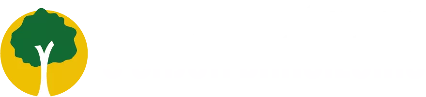 Plataforma de aulas do curso de cajón online O Cajón Brasileiro