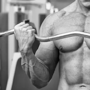 Imagem de capa para o Ebook 5 FICHAS DE TREINO MASCULINA PELO PREÇO DE 1. PROMOÇÃO !!!!