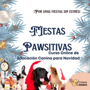 Imagen de portada para Curso online Fiestas Pawsitivas "Curso de educación canina para Navidad"