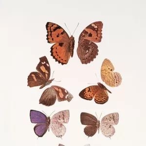 Imagen de portada para Curso online Explora la naturaleza: guía de ciencias para jóvenes curiosos