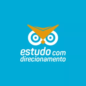 Imagem de capa para o Curso online Estatuto da Pessoa com Deficiência Esquematizado – mapas mentais e 207 questões para concursos.