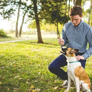 Imagen de portada para Ebook Guía práctica para enseñar trucos básicos a tu perro