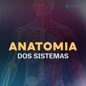 Imagem de capa para o Curso online Curso Anatomia Dos Sistemas