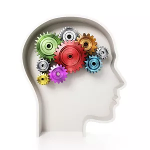 Imagen de portada para Curso online Las Neurociencias para entender nuestro Cerebro