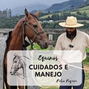 Imagem de capa para o Curso online Cuidados e Manejo em Equinos