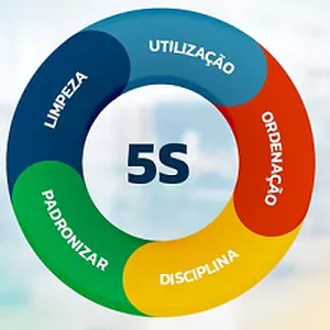 Imagem de capa para o Curso online IS 15171 - PROGRAMA 5'S
