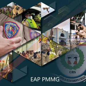 Imagem de capa para o Curso online APOSTILAS DE ESTUDOS PARA O EAP PMMG