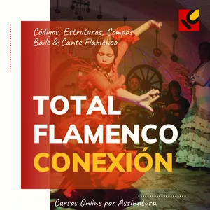 Imagem de capa para o Curso online Total Flamenco Conexión