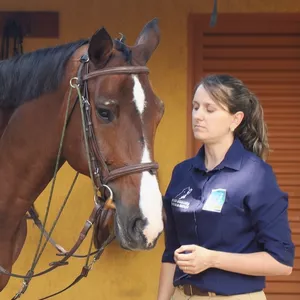 Imagem de capa para o Curso online GESTÃO DE CAVALO DE ESCOLAS DE EQUITAÇÃO