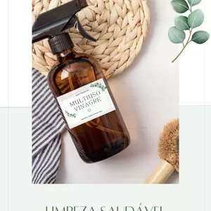 Imagem de capa para o Ebook E-Book Limpeza Saudável 2