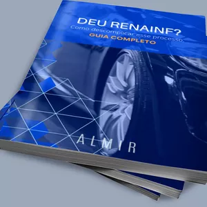 Imagem de capa para o Ebook RENAINF descomplicando esse processo 