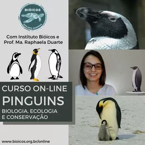 Imagem do curso Pinguins EaD: Biologia, Ecologia e Conservação