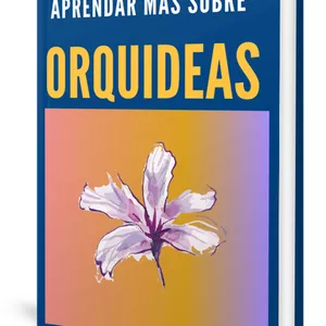 Imagem de capa para o Ebook orquídea 