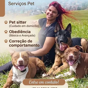 Imagem de capa para o Curso online Consultoria online de Adestramento para caes domésticos 