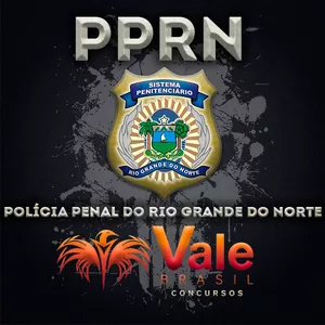 Imagem de capa para o Curso online Curso Polícia Penal do Rio Grande do Norte - PPRN