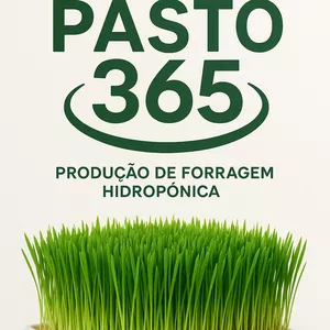 Imagem do curso Método Pasto 365