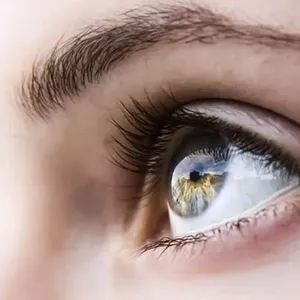 Cover image for Online course Milagro de la Vísion 02