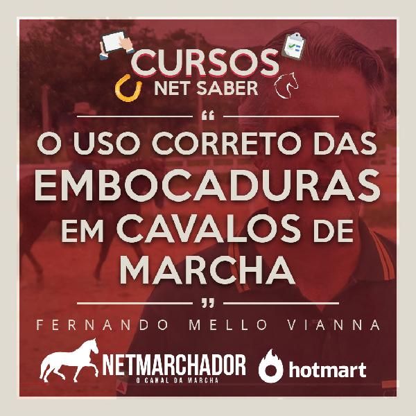 Imagem do curso O uso correto das embocaduras em cavalos de marcha.