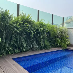 Imagem de capa para o Curso online Passo para o vertical