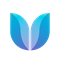 Successvalley Academy