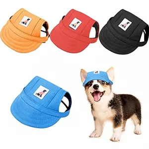 Imagen de portada para Curso online GORRAS PARA PERROS PERSONALIZADAS 