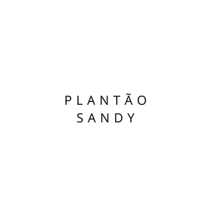 Imagem de capa para o Curso online Plantão Sandy- Assinatura