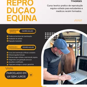 Imagem do curso Mentoria em reprodução equina