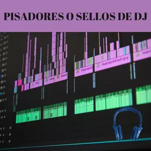 Imagen de portada para Curso online PISADORES VOCES PARA DJ