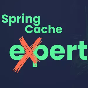 Imagem de capa para o Curso online Spring Cache Expert