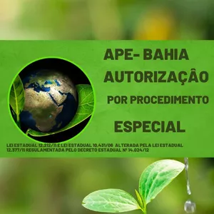 Imagem de APE- AUTORIZAÇÃO POR PROCEDIMENTOS ESPECIAL DE LICENCIAMENTO  criado por Anailton na hotmart