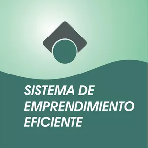 Imagen de portada para Curso online SISTEMA DE EMPRENDIMIENTO EFICIENTE