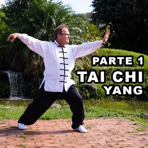 Imagem de capa para o Curso online Tai Chi  Yang Tradicional-1ª Parte- 118 movimentos -1ª Parte  - Yángshì Tàijíquán 楊式太極拳  