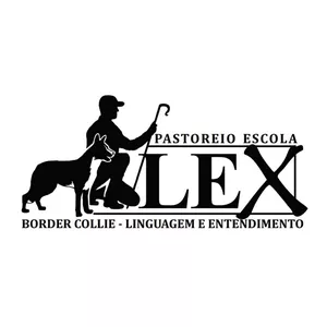 INTRODUÇÃO AO ENTENDIMENTO DO PASTOREIO COM BORDER COLLIE