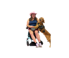 Service Dog Success Online School logo