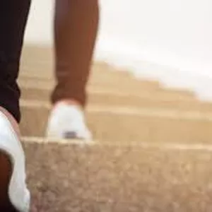 Imagem do curso Primeiros Passos - Estudos Bíblicos para iniciantes na fé