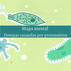 Imagem de capa para o Ebook MAPA MENTAL - doenças causadas por protozoários