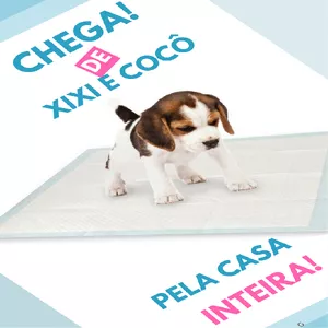 Imagem de capa para o Curso online Chega! De Xixi e Cocô Pela Casa Inteira!