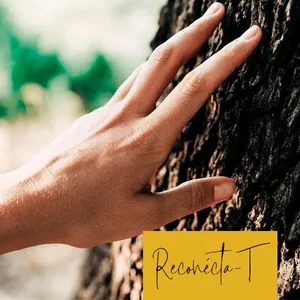 Imagen de portada para Curso online Reconécta-T
