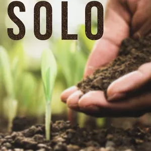 Imagem de capa para o Ebook Super Solo